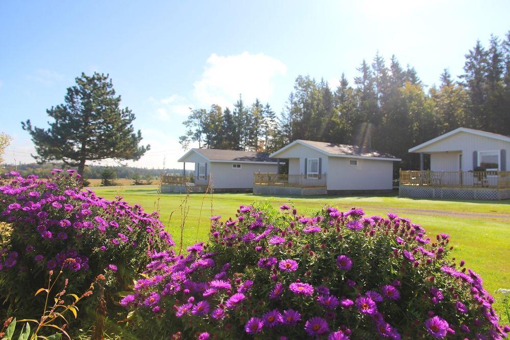 Meadowview Cottages North Milton Exterior foto