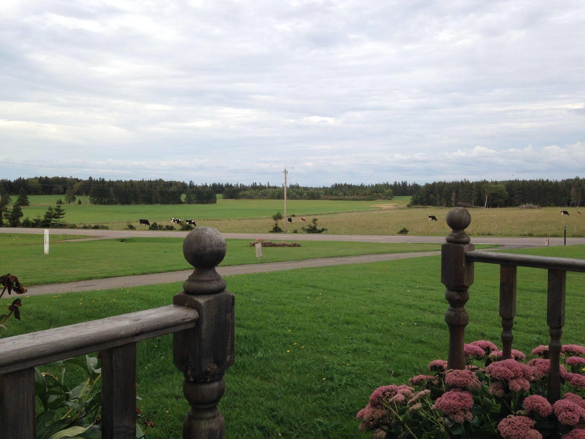 Meadowview Cottages North Milton Exterior foto